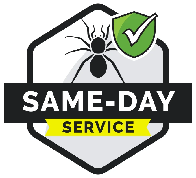 Same Day Pest Control
